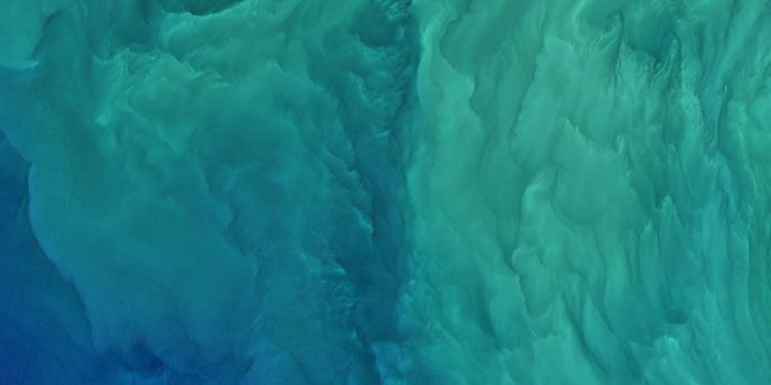 736x1308 28 iPhone Wallpapers For Ocean Lovers | ♡ Wallpapers I Love