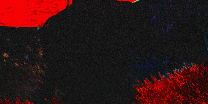 750x1334 Boy Dog Graffiti Rap wallpaper