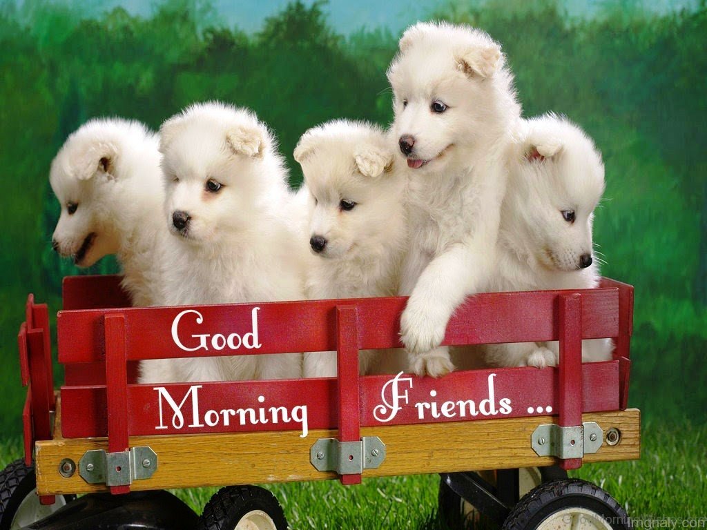 1024x768 57 Good Morning Wishes For Puppy Lovers
