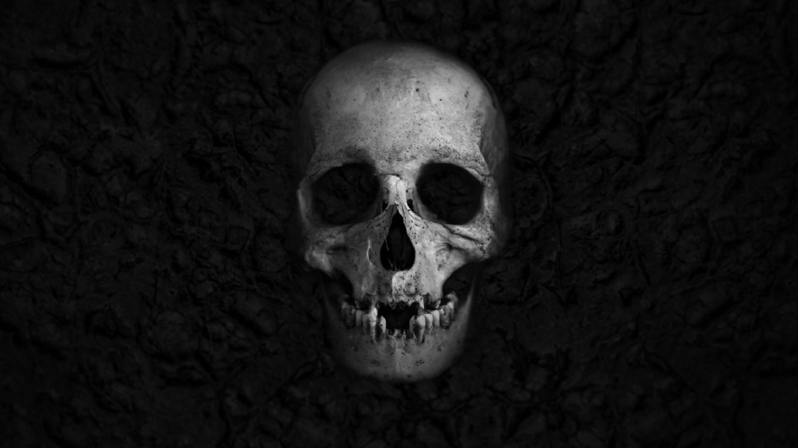 5839x3284 Wallpaper Skull, HD, 5K, Others, #5472