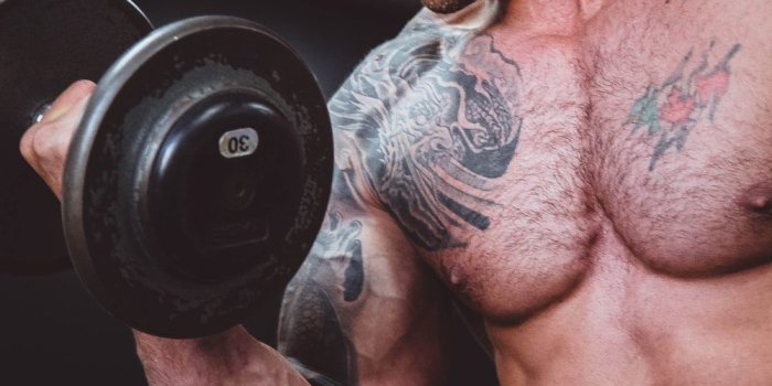 1000x1500 Bodybuilding Pictures [HD] | Download Free Images on Unsplash