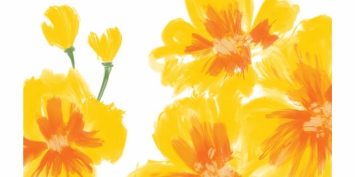 920x1803 casetify #iphone #art #design #poppy #floral #flowers - Iphone