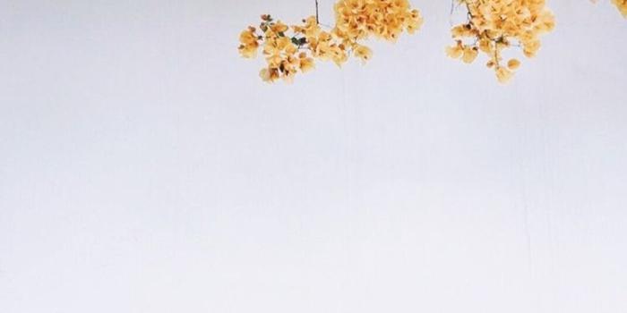 750x1425 yellow #flowers #wallpaper | w a l l p a p e r s | Papeis de parede