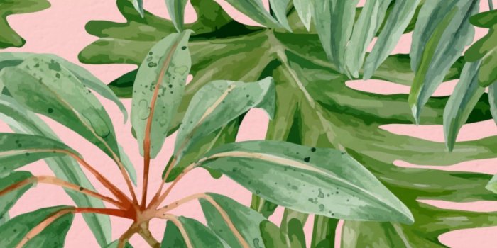 1080x1920 Green Aesthetics Wallpapers