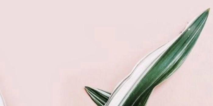 1018x1594 Emily Daye on Prints in 2019 | Plant wallpaper, Iphone