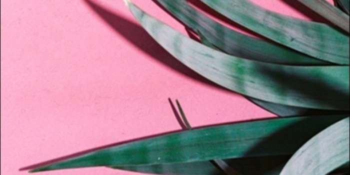 1368x855 Green Aesthetics Wallpapers