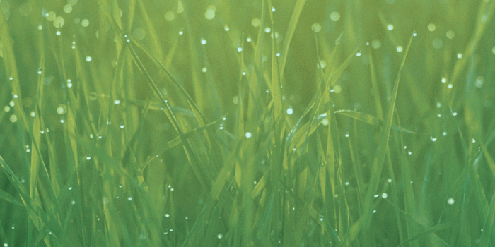 744x1392 Download the new iOS 7 wallpapers now