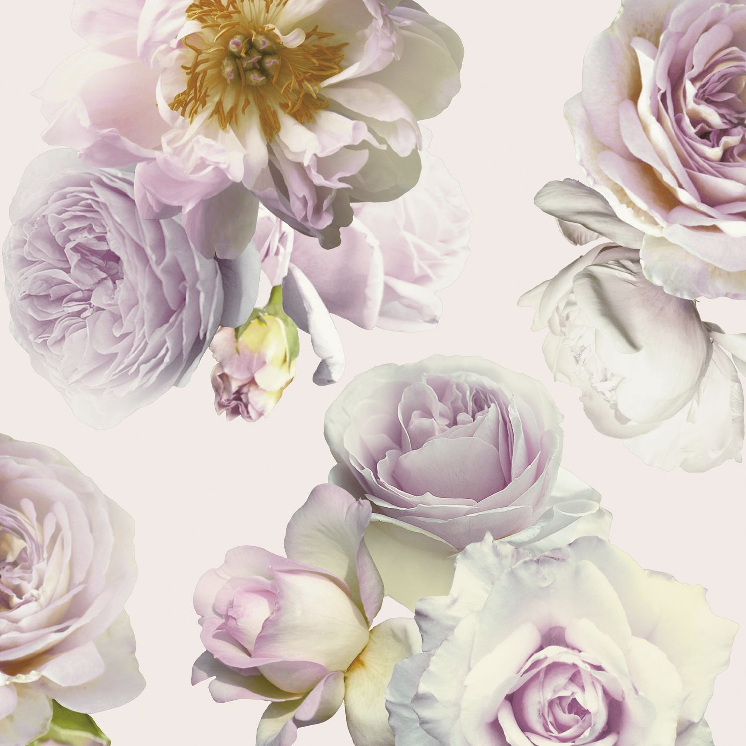 1500x1500 Arthouse Floral Bloom Soft Pink Wallpaper