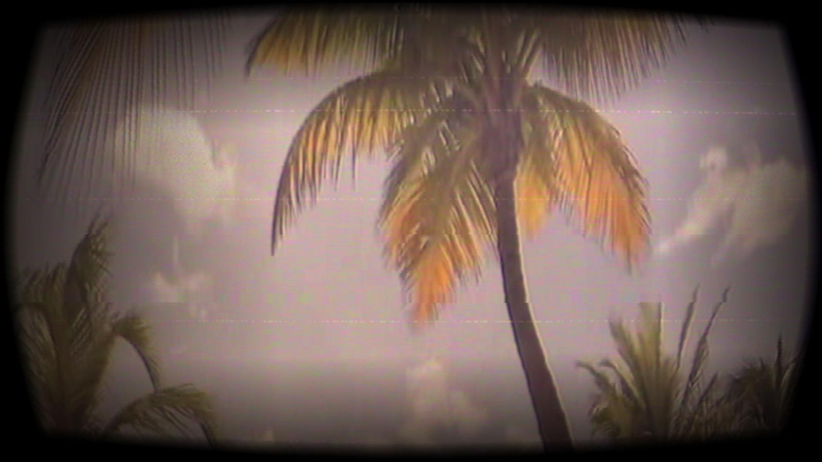 1920x1080 Steam Community :: Guide :: The Most Vaporwave/Aesthetic Backgrounds