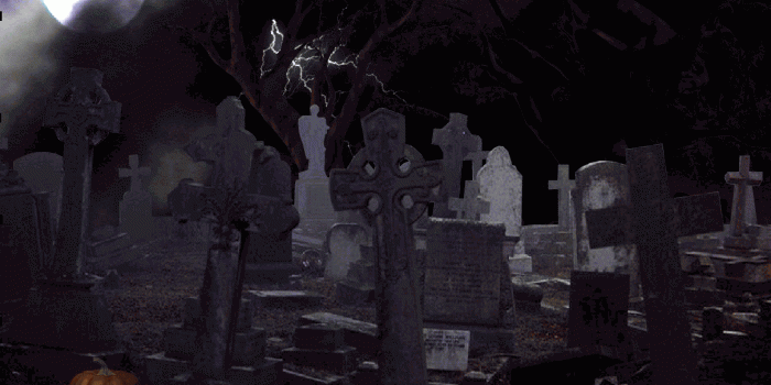 1209x962 Free Halloween Backgrounds | HD animated halloween wallpaper / Nupe