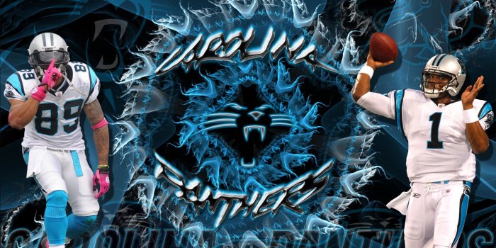2000x1251 cam newton wallpapers Gallery (57+ images)
