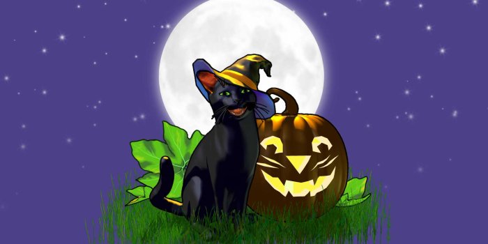 1920x1200 Jack Cat Halloween Wallpaper © Copyright Robin Wood 2006