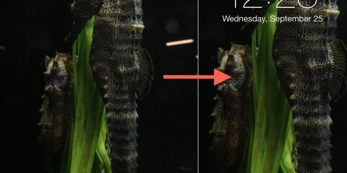 1456x1107 Fixing iOS 7 Wallpaper Woes: How to Scale, Crop, Align, & Design the