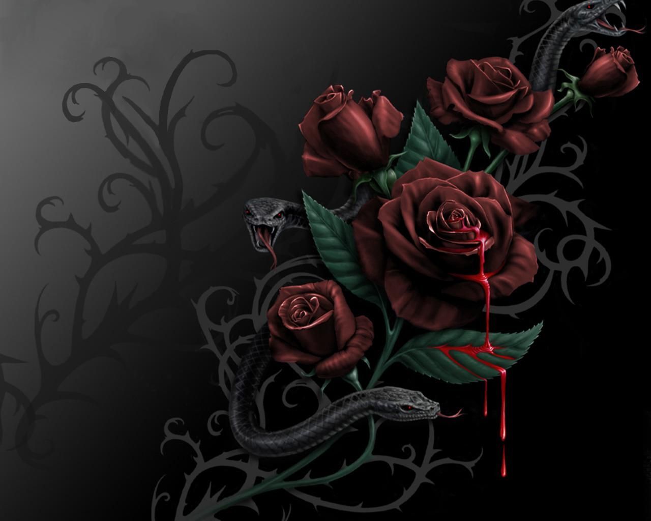 1280x1024 bloody rose | Blood and Roses, blood, rose, snake | My tattoo wish