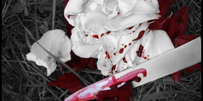 2036x1622 57+ Bloody Rose Wallpapers on WallpaperPlay