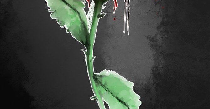 670x1192 Rose iPhone Wallpapers - Top Free Rose iPhone Backgrounds