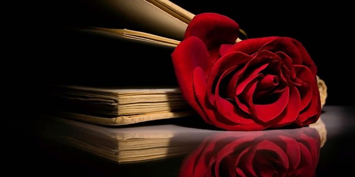 1280x800 Red Rose wallpapers (20+) Collections