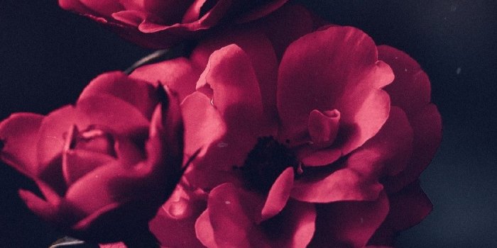 1080x1920 76+ Red Phone Wallpapers on WallpaperPlay