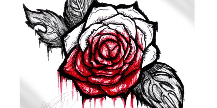 1024x768 Wilted Rose Drawing | Free download best Wilted Rose Drawing on