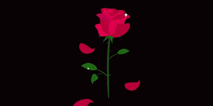 1920x1080 Red Rose Black Background (41+ pictures)
