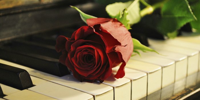 2896x1844 70+ Piano with Flower Wallpapers - Download at WallpaperBro