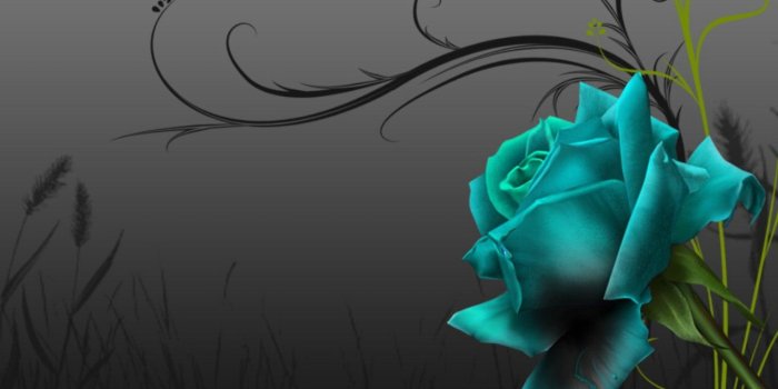 1280x1024 Black rose wallpaper Gallery