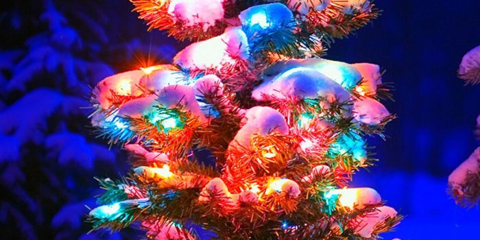 1440x2560 Best 45+ Cell Phone Christmas Wallpapers on HipWallpaper | iPhone