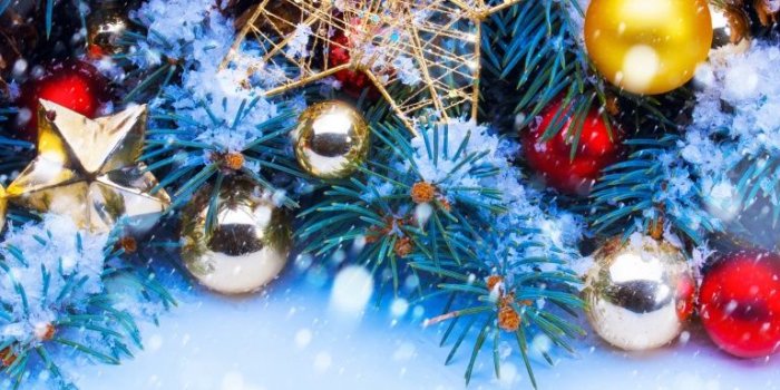 768x1280 Christmas Trees Decorated In Red And Gold ❤ 4K HD Desktop Wallpaper