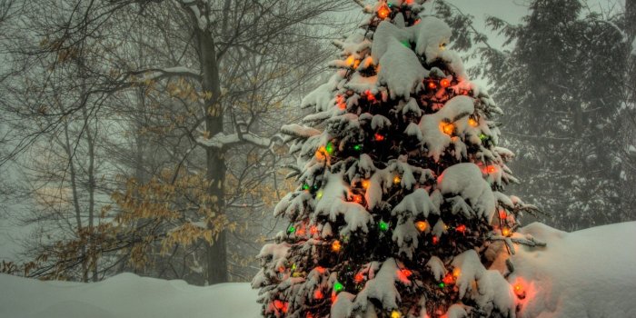 2160x1440 59+ Microsoft Christmas Wallpapers on WallpaperPlay