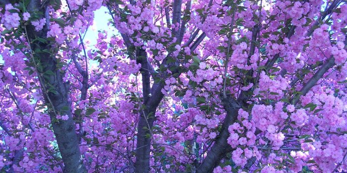 2048x1536 Purple Pastel Aesthetic Wallpapers - Top Free Purple Pastel