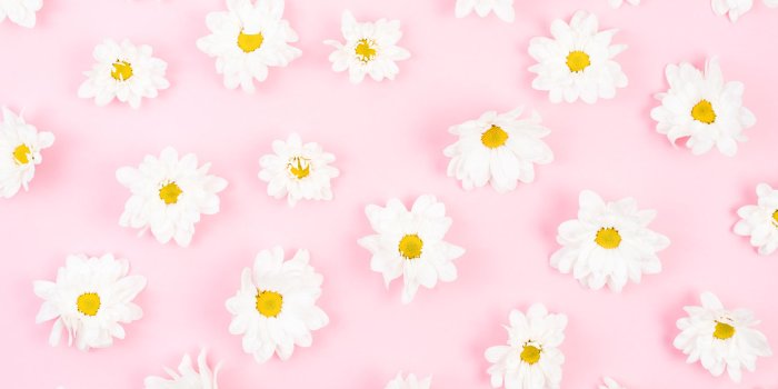 1500x1000 Print a Wallpaper