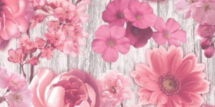 1000x1000 RASCH Pink Floral Roses On A Vintage Bark Background Wallpaper 270556