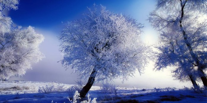 2880x1800 Beautiful Snow Wallpapers