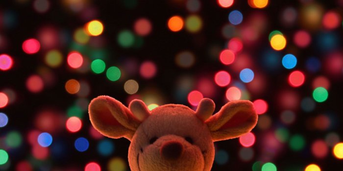 2048x2048 Free Wallpaper: Christmastime is Here! – Elf Blog