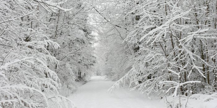 2880x1920 Beautiful Snow Wallpapers