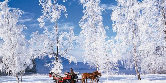 1024x768 Winter Scene Desktop Backgrounds Free Group | wallpapers | Winter