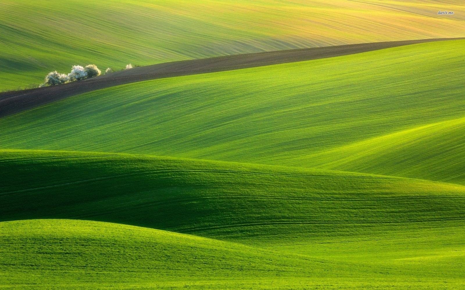 1920x1200 Heavenly green hills wallpaper - Nature wallpapers - #15133