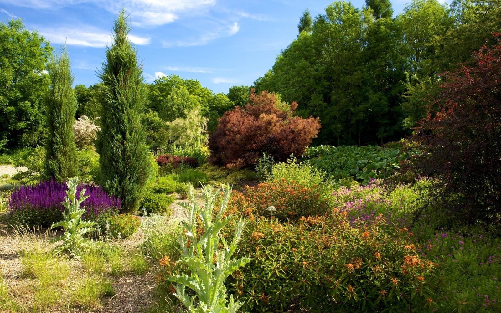 1920x1200 Heavenly garden on a sunny day wallpaper - Nature wallpapers - #54526