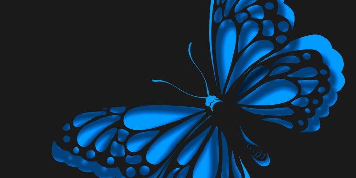 1440x1280 neon blue butterfly Wallpaper by __JULIANNA__ - 3b - Free on ZEDGE™