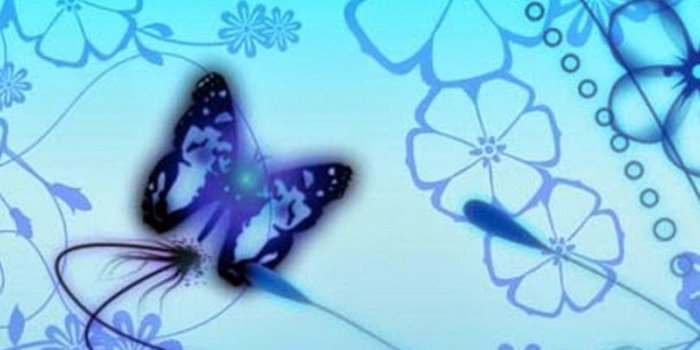 1080x1920 Android Wallpaper HD Blue Butterfly - 2019 Android Wallpapers