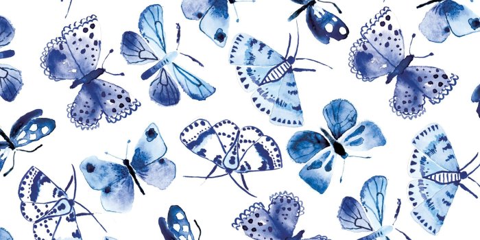 2000x1414 Blue Butterflies