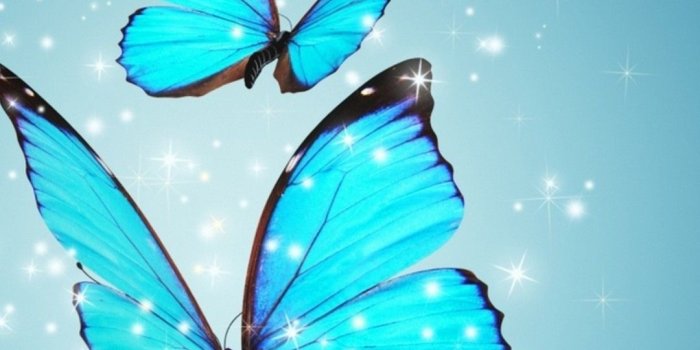 1080x1920 Wallpaper Blue Butterfly iPhone | iPhoneWallpapers | Butterfly
