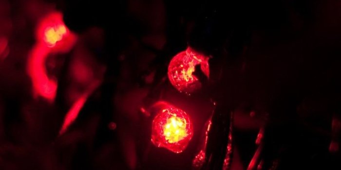 720x1280 Merry Christmas Wallpapers For Computer, Smartphone, Iphone