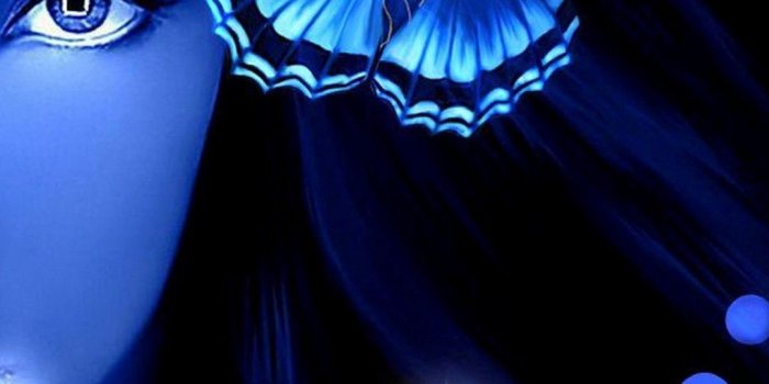 1080x1920 Blue Butterfly HD Wallpapers For Android - 2019 Android Wallpapers