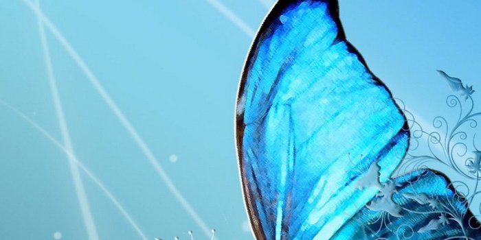 1080x1920 Blue Butterfly Wallpaper iPhone | 2019 3D iPhone Wallpaper