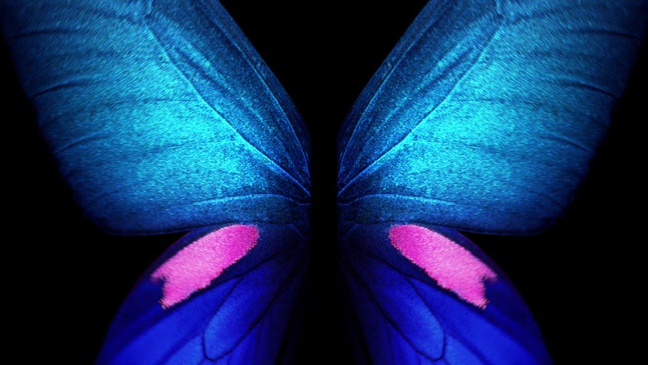 1280x720 Samsung Galaxy Fold Live Wallpaper Blue Butterfly