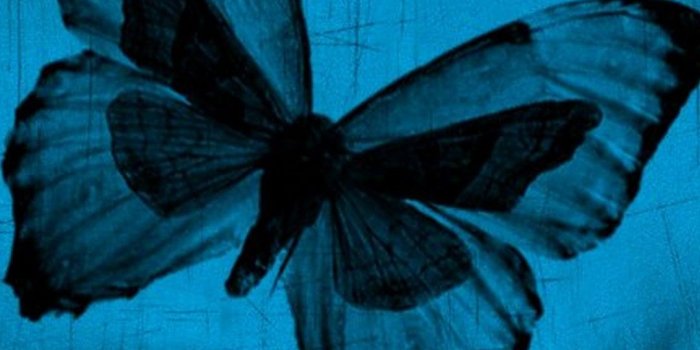 1080x1920 Wallpaper Blue Butterfly Mobile | 2019 Cute Wallpapers