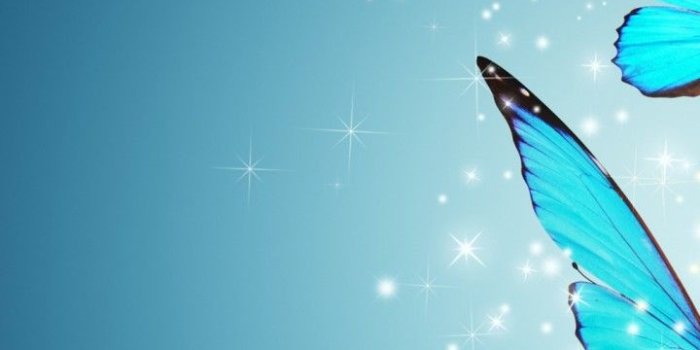 720x1280 Beautiful Blue Butterfly Wallpaper 00209 - Baltana
