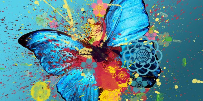1280x1024 Download wallpaper: blue butterfly and , download wallpapers for