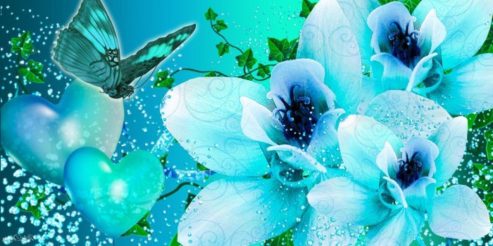 1920x1080 WallpaperMISC - Blue Butterfly HD Wallpapers Free TOP High Quality